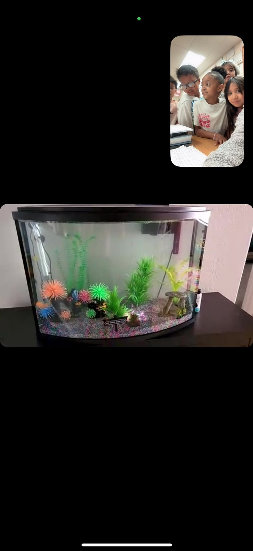 37 Gallon Fish Tank,All Products : American Fashion Style Bags On Sale