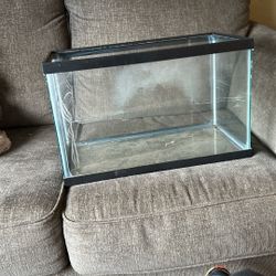 Fish Tank 10 Gallon
