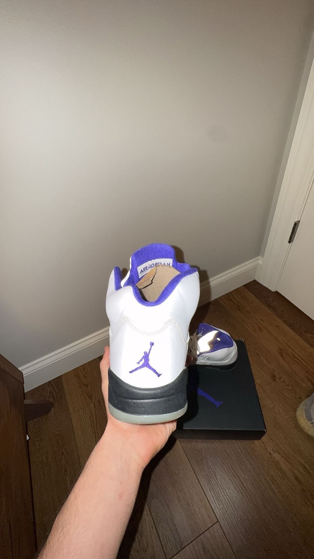 Concord 5 jordans