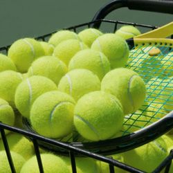 40 Tennis Balls 