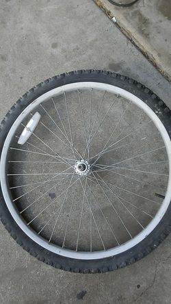 Rueda delantera 24