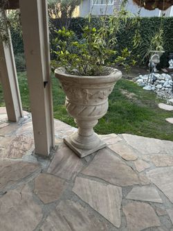 Concrete Twin Pots