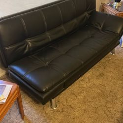 Family Room Guest Couch 