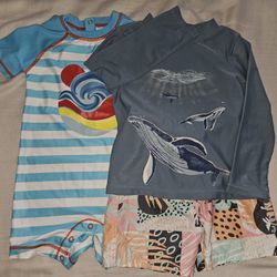 Boys Swim Clothes, Size 2T And 24 Months, $8