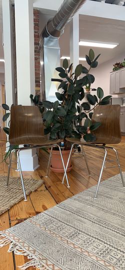 2 vintage Royal Pagholz