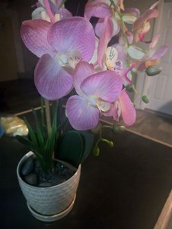 Artificial plant
