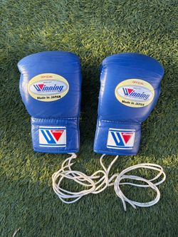 Blue 8oz winning gloves