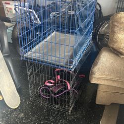 Dog Kennels Small