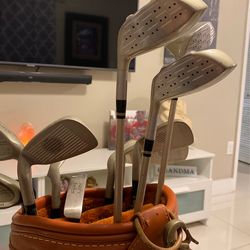 Lady Cobra “oversize”  Golf Bag    No Golf Club’s. 
