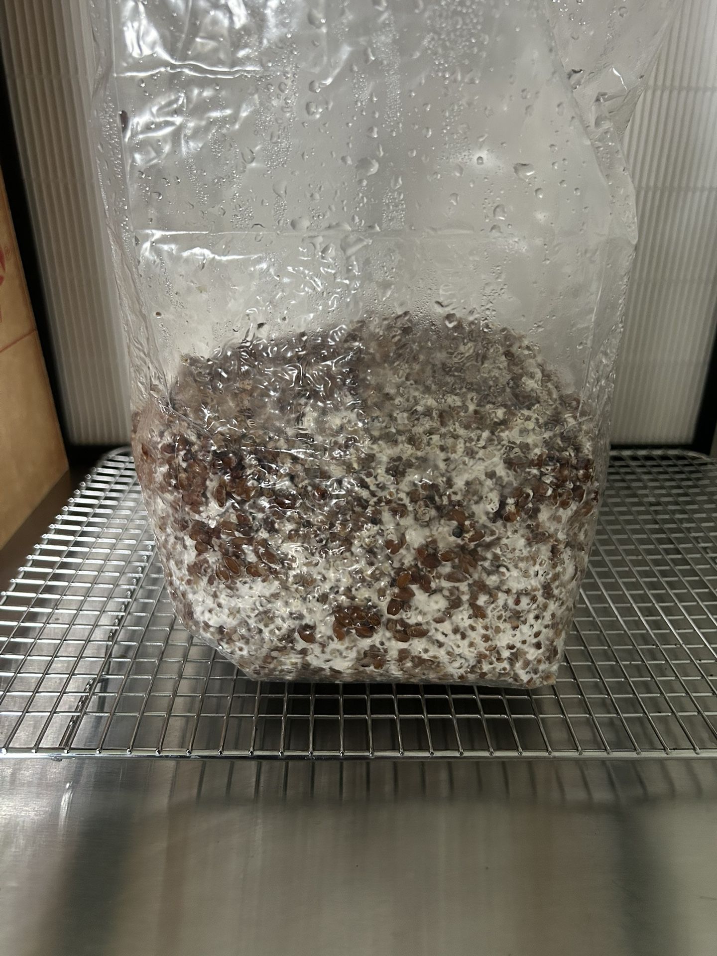 Colonize Grain Bag For Research Only
