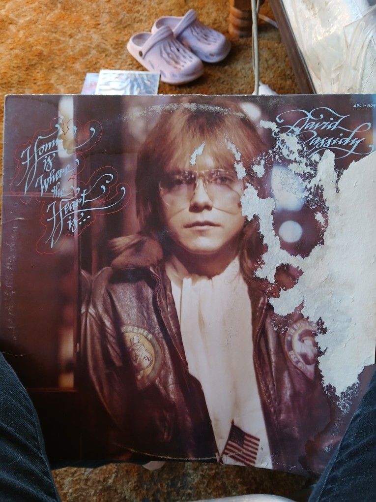 David Cassidy Vinyl Record