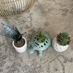 Fake Plants For Sale