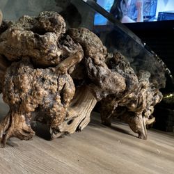 Modern Wooden Glass Table