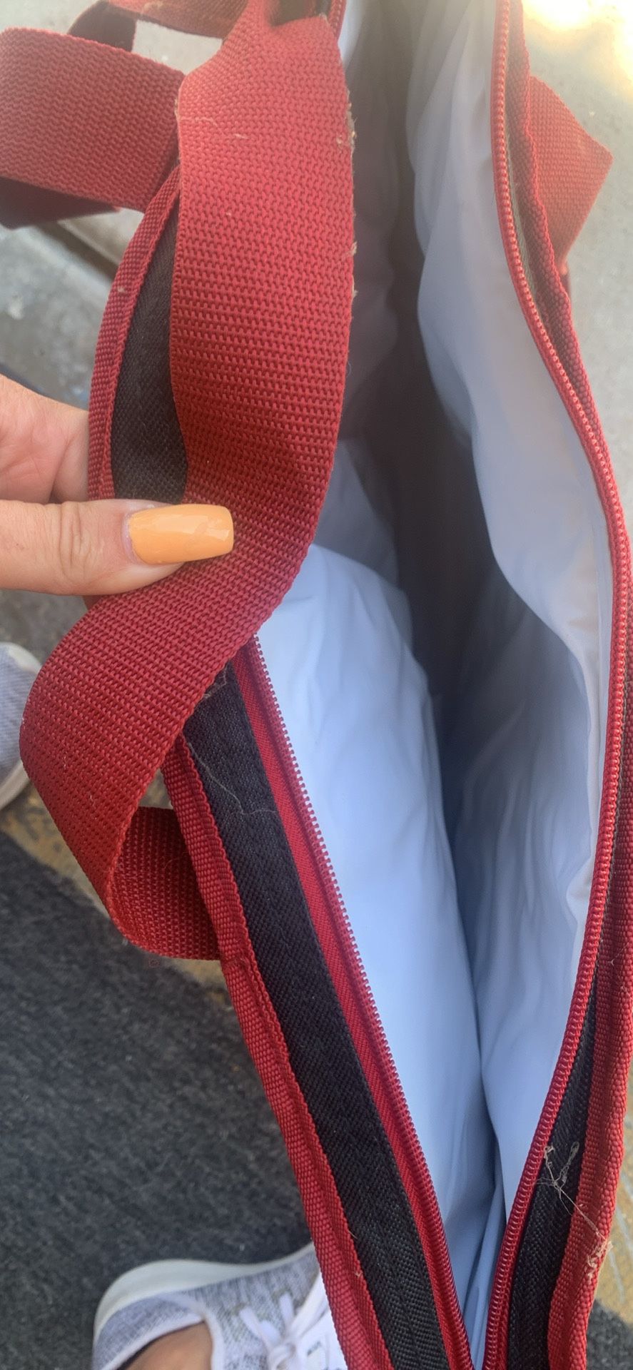 Trader Joe’s Cooler Bag