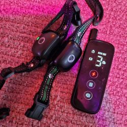 Dog Training Collor, 