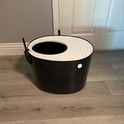 Large Jump In Litter Box