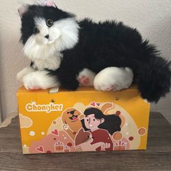 Chongker Cat
