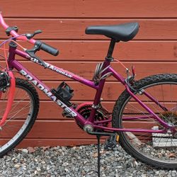 Roadmaster bike model r4046wmm hotsell