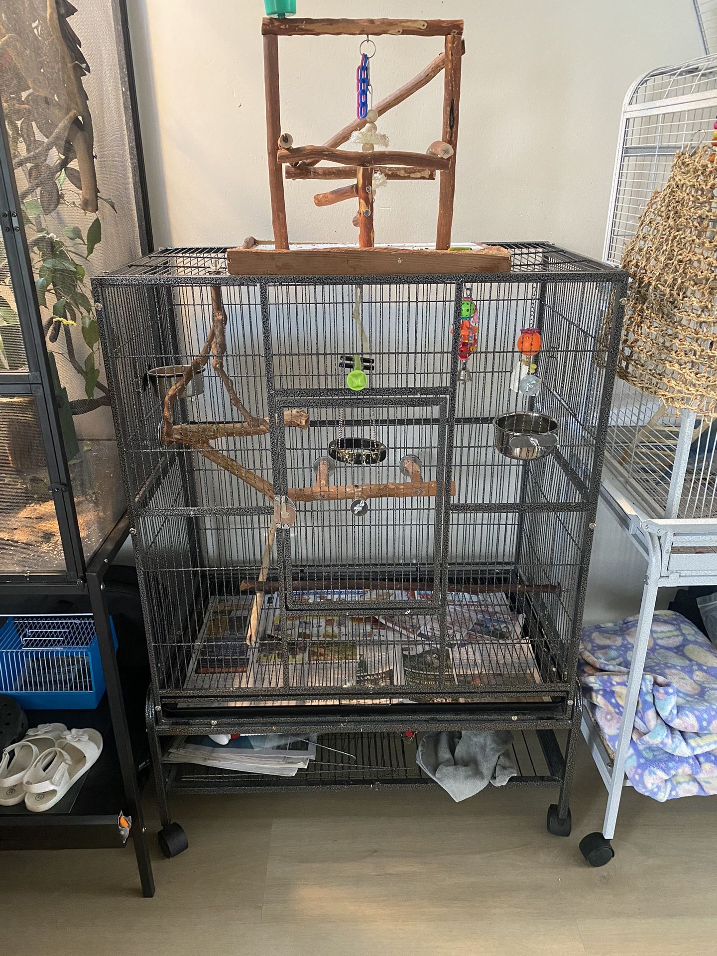 Bird Cage 