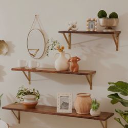 Organic Edge Wood Wall Shelves + Gold Brackets