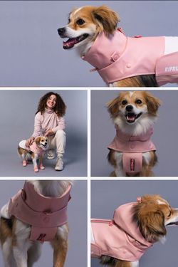 Pet jacket