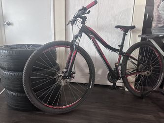 Mountain Bike