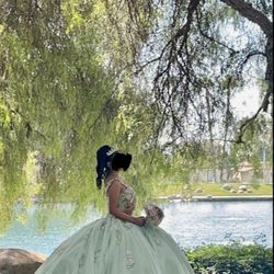 Quinceñera Dress 