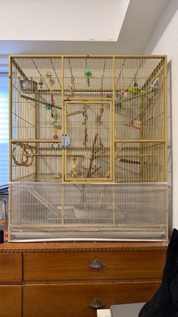 Bird cage