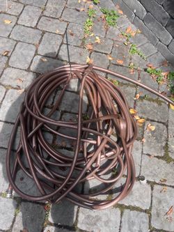 Garden Hose