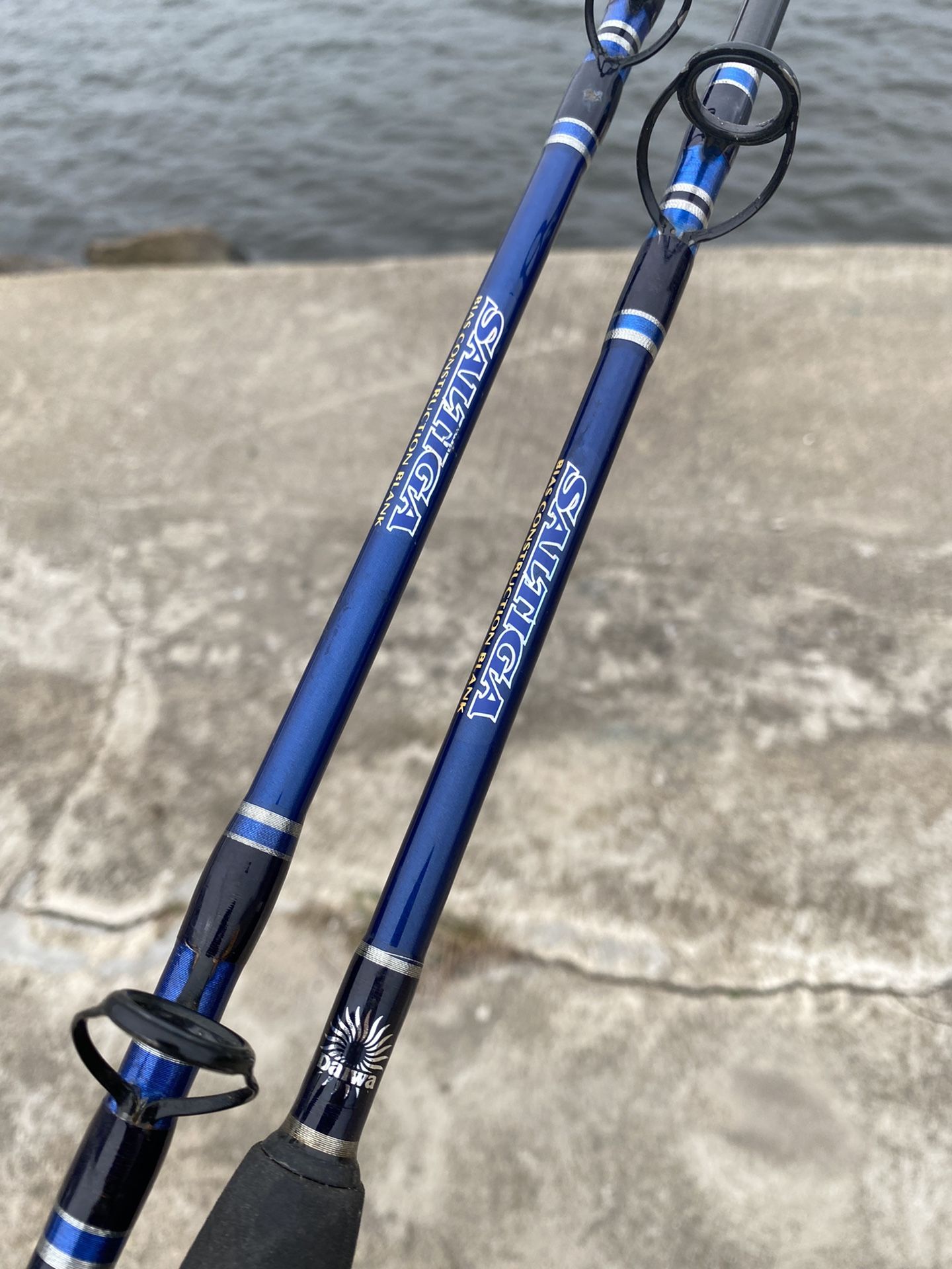 2 Diawa Saltwatwer Jigging Rods