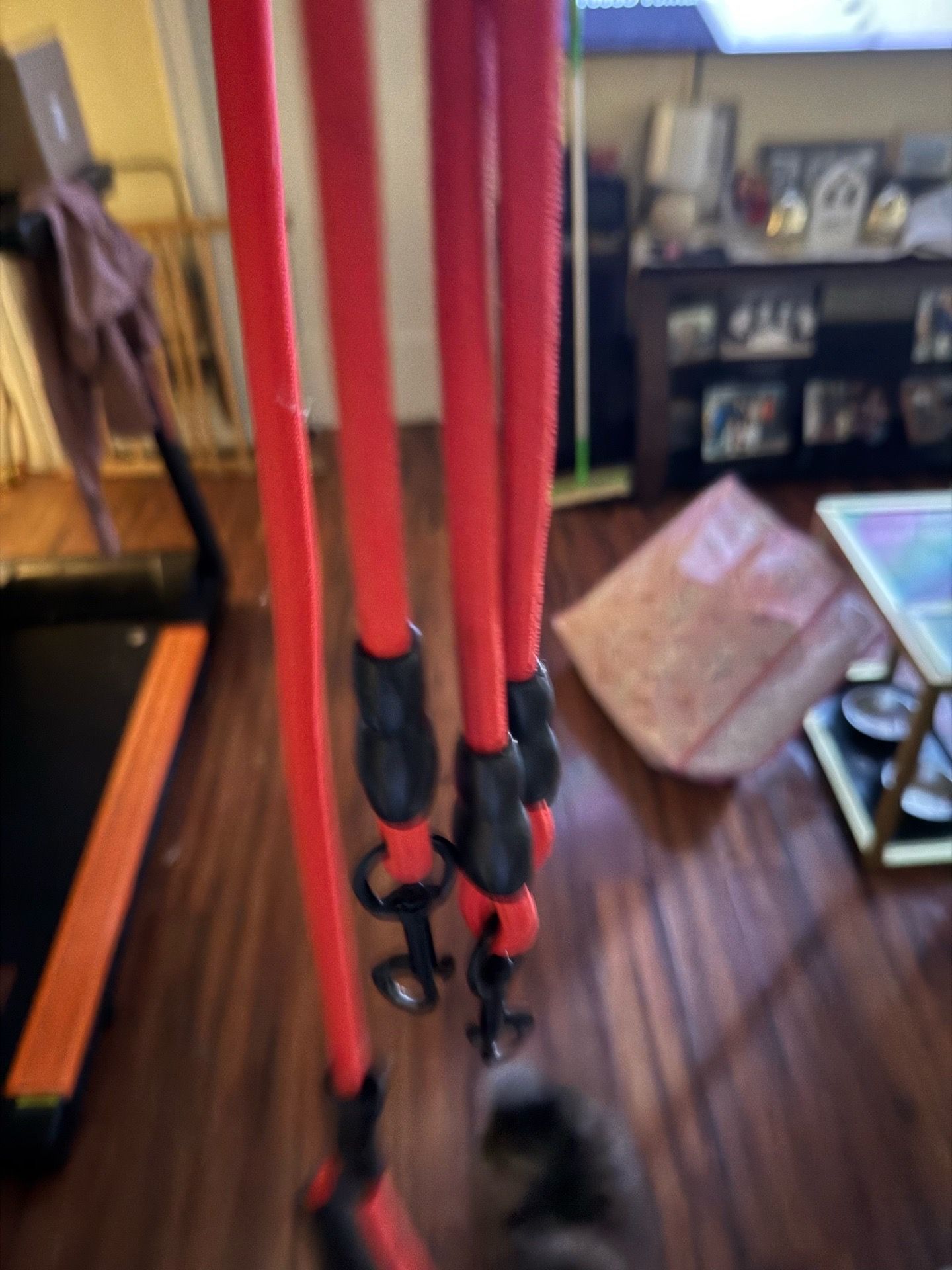 3 in 1 dog leash