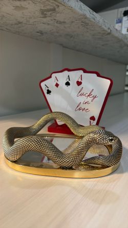 Snake w mirror