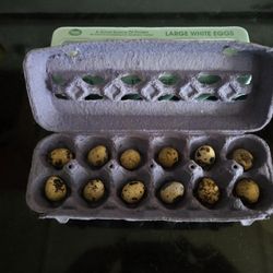 Eggs