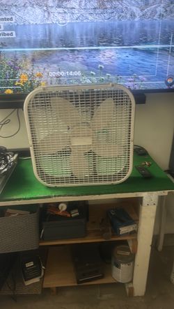 Fan