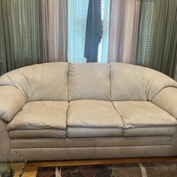 Leather Sofa & Love Seat