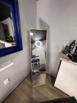 standing/wall mounted mirror