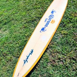 9' Surfboard Longboard 