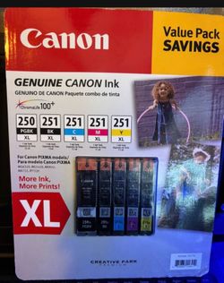 Canon Ink Cartridges 250 And 251