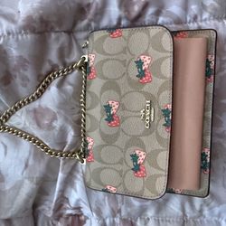 Mini Klare Strawberry Coach Bag 