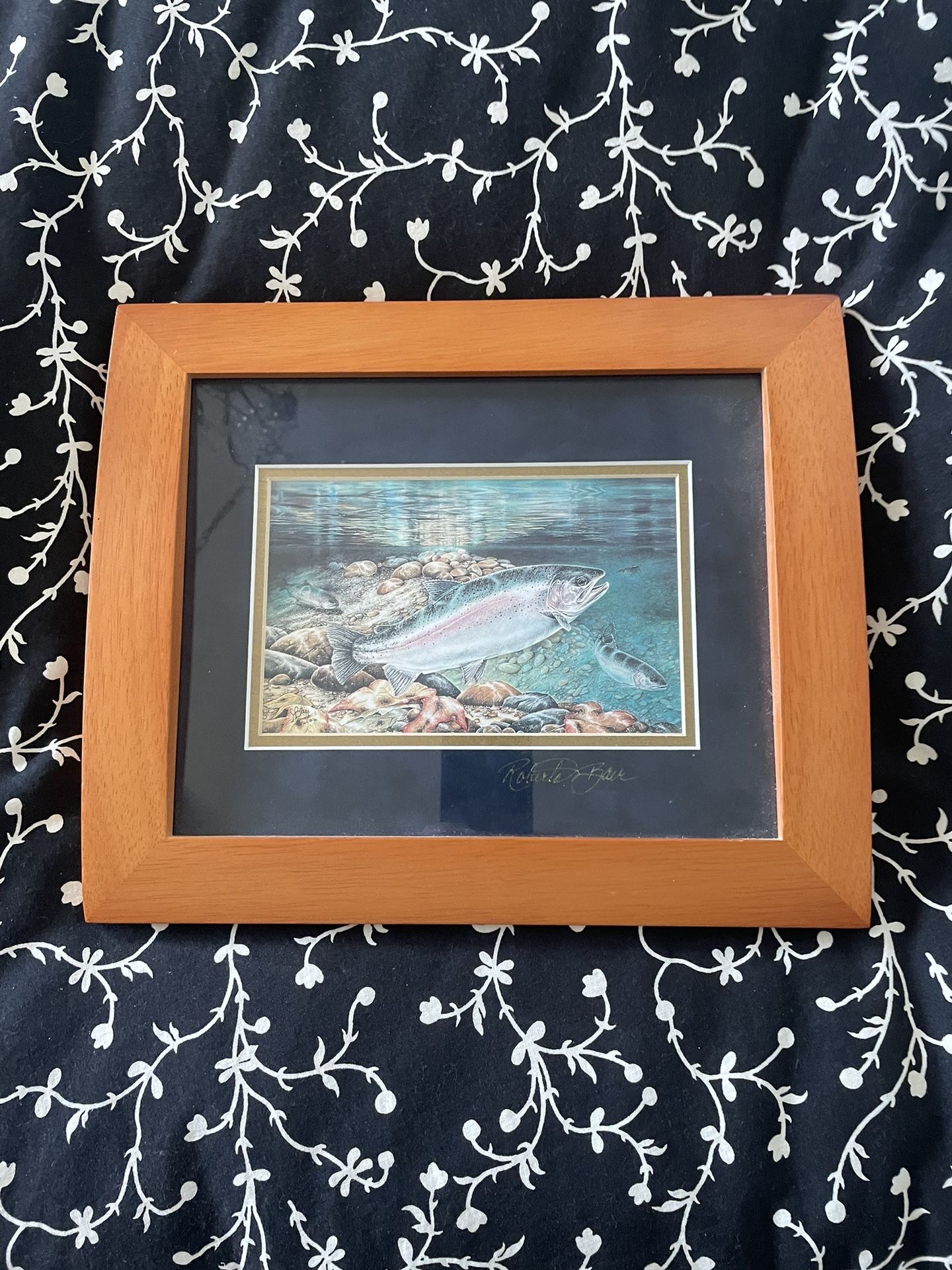Roby Baer “Rainbows In Fall” Framed Print