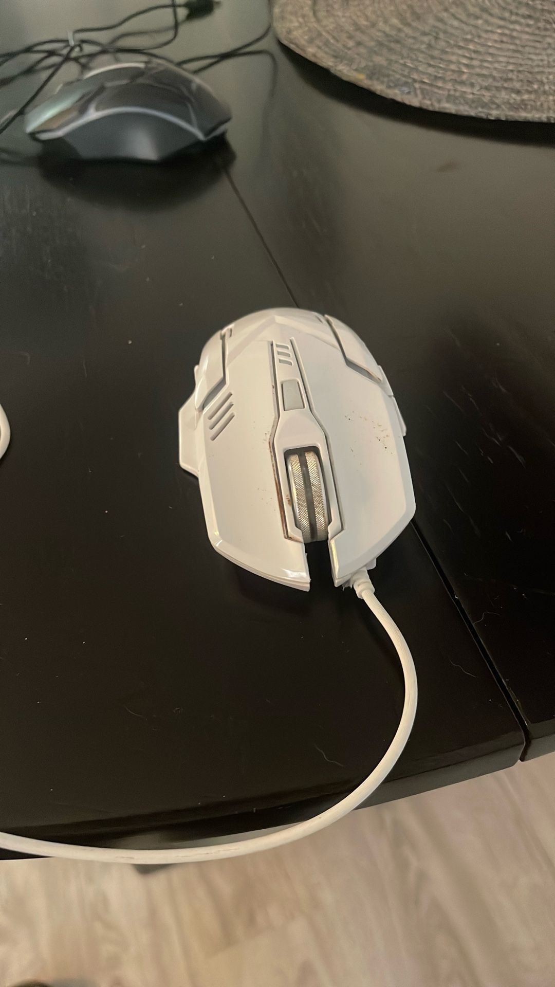 Skylion White Mouse