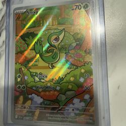 Snivy Pokemon Card