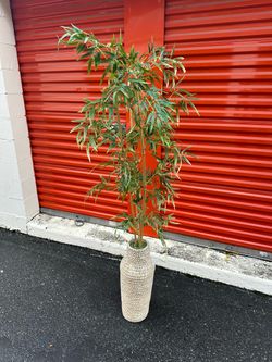 Bamboo tree