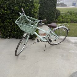 Beach Cruiser 