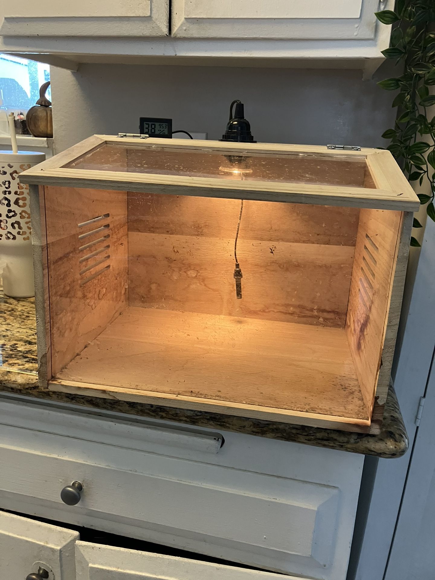 Brooder With Heat Lamp & Adjustable Thermostat