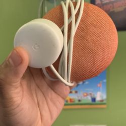 Google Nest Mini