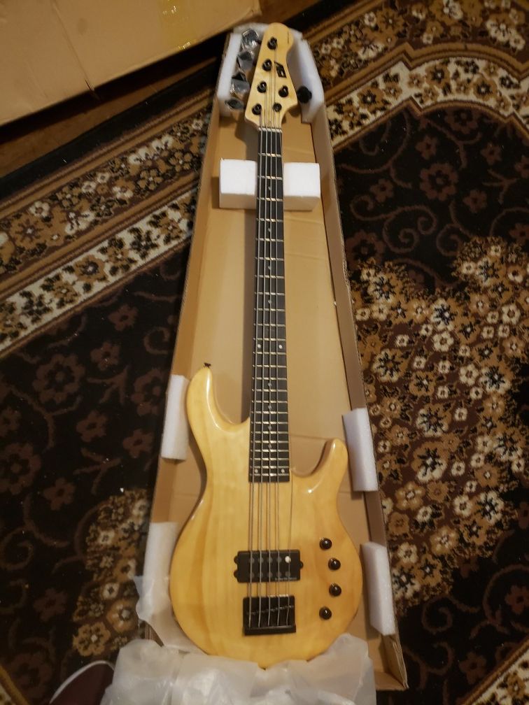 bass guitar