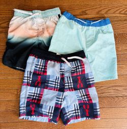 3 Pack: Boy's 5T-6T Swim Trunks