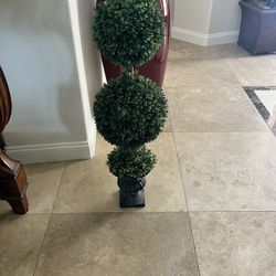 Boxwood Topiary 