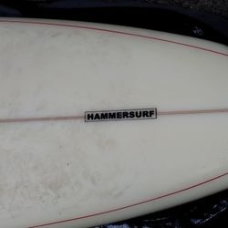 Santa Cruz Hammerhead Surf Board 